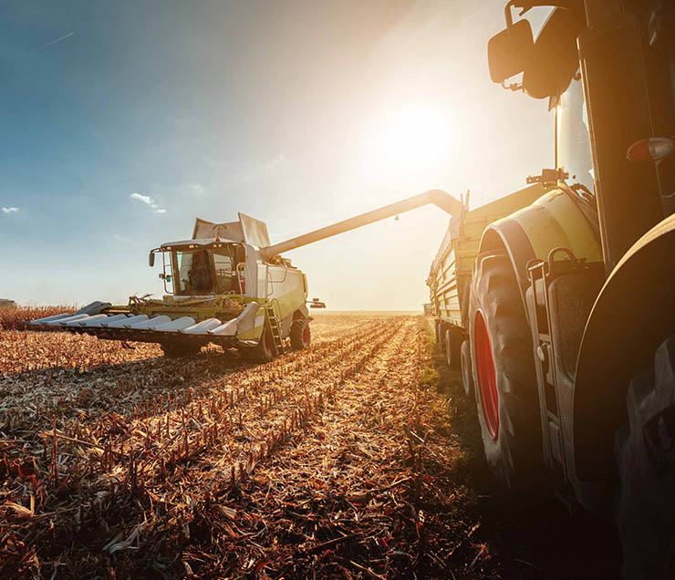 Agristar srl Produzione e Vendita di Prodotti e Servizi per l’Agricoltura. Vendita di Combustibili Naturali per Riscaldamento e Bruciatori Autofoco.